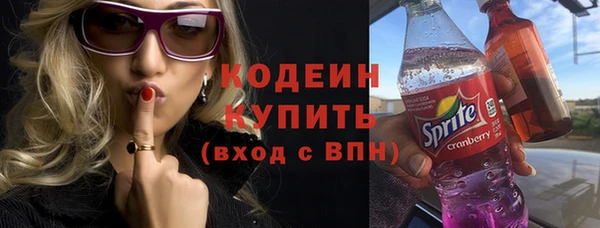 гидра Бронницы
