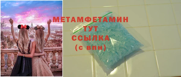 гидра Бронницы
