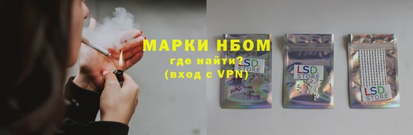гидра Бронницы