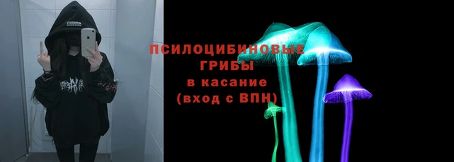 гидра Бронницы